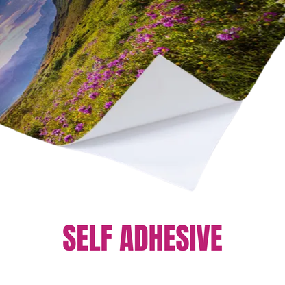 Custom Posters and Self-Adhesive Prints
